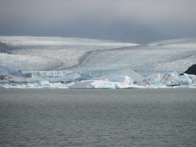 �y���ޕ��ɃE�v�T���X��