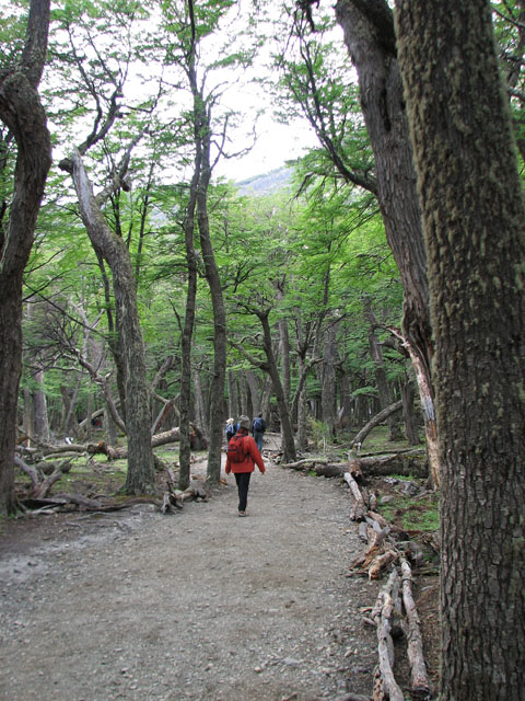 �ĂѐX�����