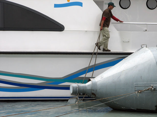 �D�ɐڊ݂����X������