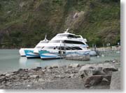 ����ė����D