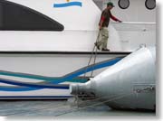 �D�ɐڊ݂����X������