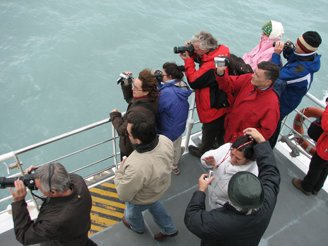 �E�v�T���X�͂𒭂߂�D��̊ό��q