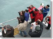 �E�v�T���X�͂𒭂߂�D��̊ό��q