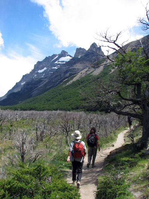 �R�ۂ����