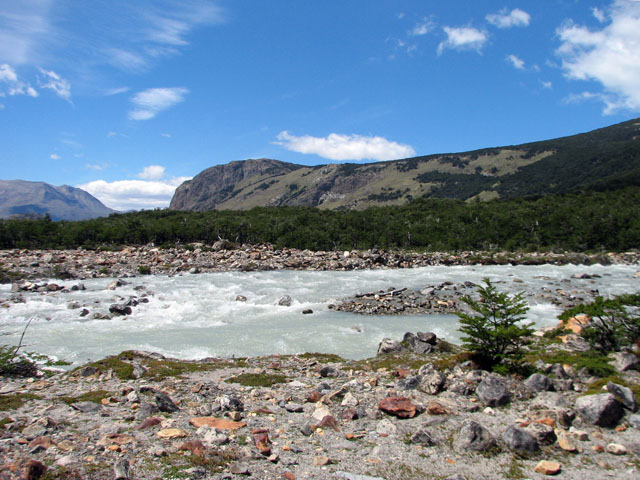 �͌������