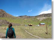 �u�Ɍ�������