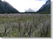 �Ύ��̏Ă���