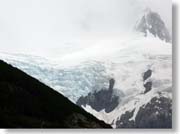 �g�[���X�͂Ɖ_�ɉB��Ă���t�B�b�c�E���C