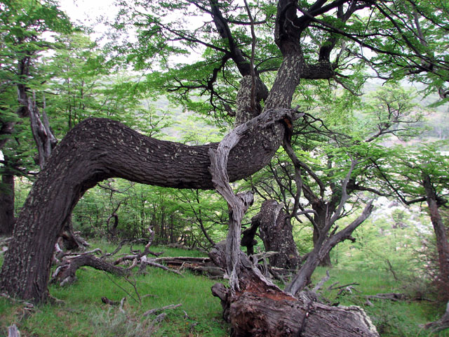 �Ȃ�������