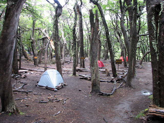 ���I�E�u�����R�L�����v��