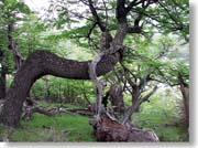 �Ȃ�������