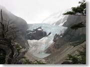 �s�G�h���X�E�u�����J�X�X�͂ƌ�