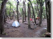 ���I�E�u�����R�L�����v��