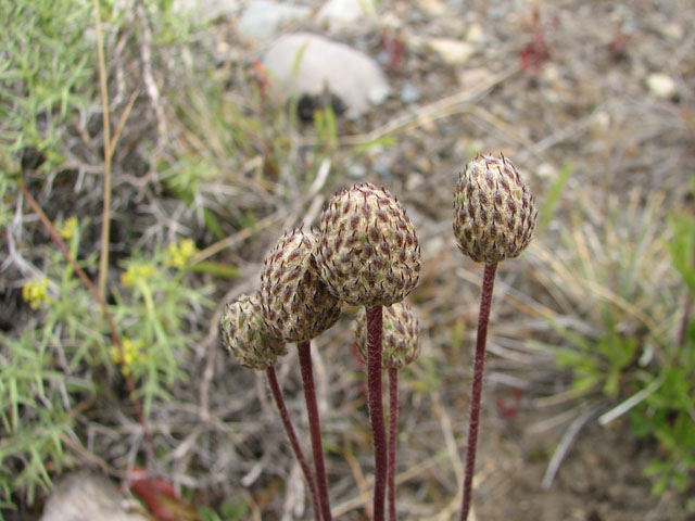 ���F����