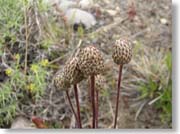 ���F����