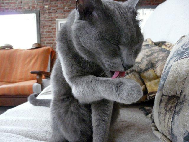 ����Ȃ߂Ă���L