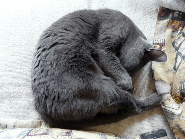 �ۂ܂��Ă���L