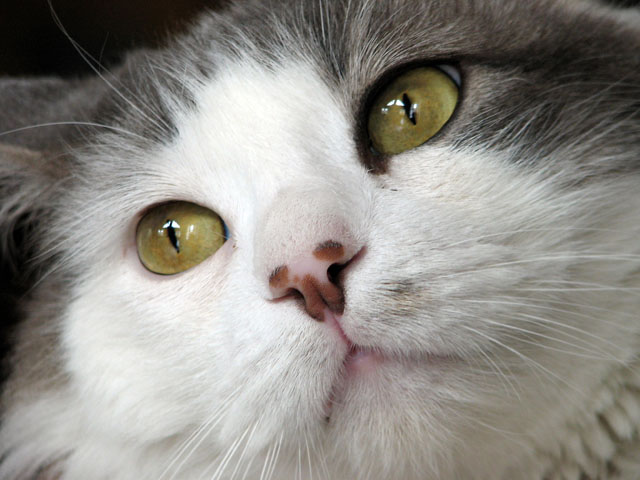 �L�̊�A�b�v