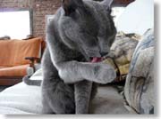 ����Ȃ߂Ă���L