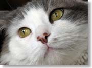 �L�̊�A�b�v