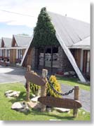 �z�e���E�~�P�����W�F��