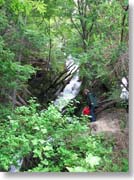 �}�J���[�i�̑�