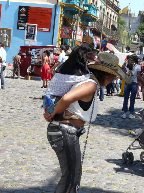 ����w����������