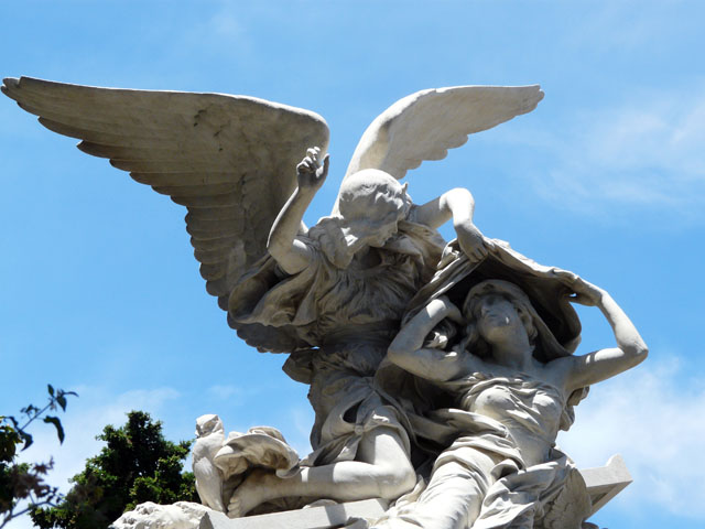 �V�g�������̃}���g���͂����Ă���