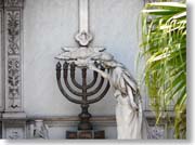 �V�{�}�̓���