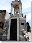 �_�Ɩ���V�g