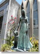 �V���̉ԉő�