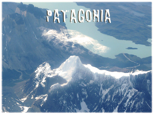 �p�^�S�j�A�ʐ^