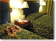 �z�e���E�G�A�|�[�g�E�K�[�f���̎���