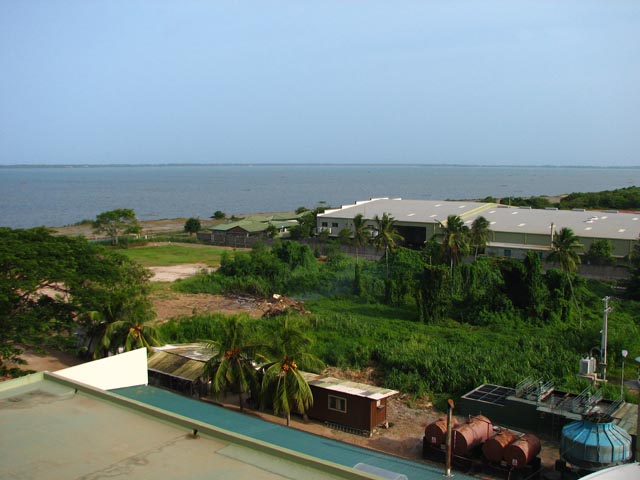 �G�A�|�[�g�E�K�[�f���̕������猩���i�F