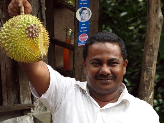 �r���̔��X�ɗ������A�h���A���������Ȃ���|�[�Y���Ƃ錻�n�K�C�h�̃T�}������