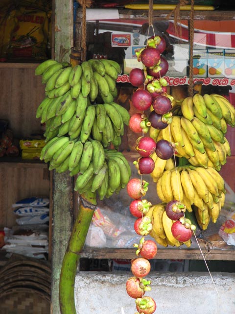 ������������X�ɂԂ牺�����Ă���ʕ�