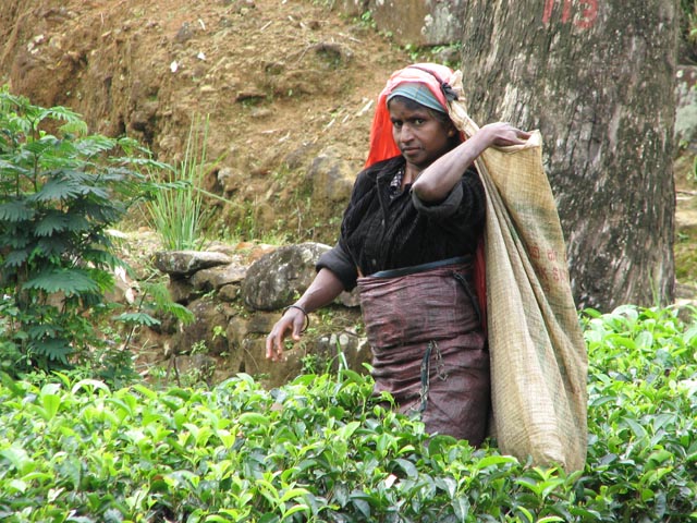 �k�����E�G���A�̒����̏���