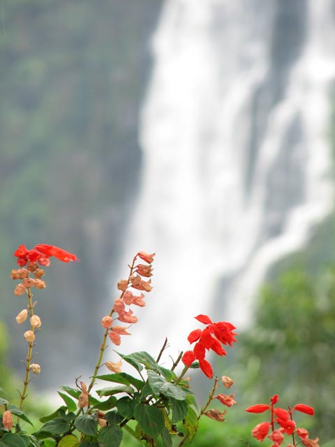 �����X�V���̃f�{���̑�