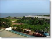 �G�A�|�[�g�E�K�[�f���̕������猩���i�F