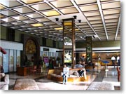 �G�A�|�[�g�E�K�[�f���̃��r�[