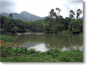 ���H���Ƃ����u�L�c���K���E�v�����e�[�V�����E���X�g�����v