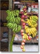 ������������X�ɂԂ牺�����Ă���ʕ�