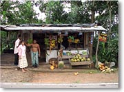 ������������X