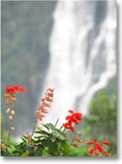 �����X�V���̃f�{���̑�