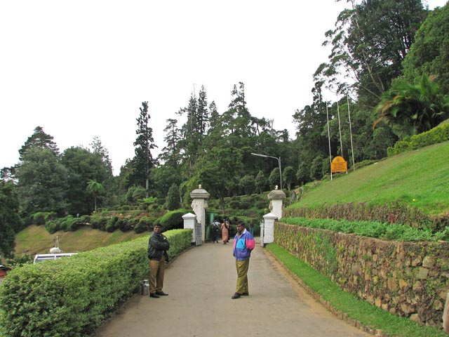 �n�b�K���A�����̓���