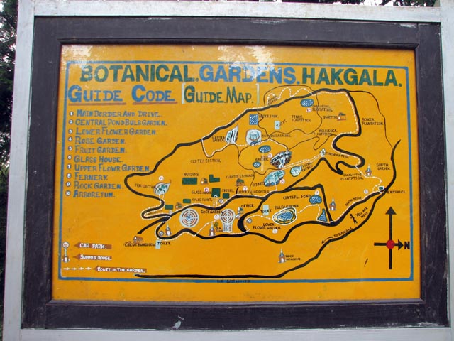 �����}�b�v