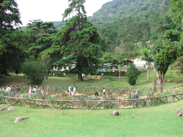 �����̗l�q