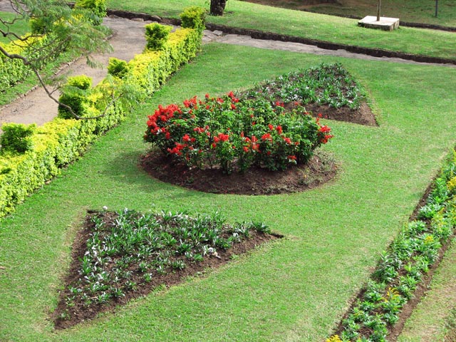 �Đ��A�����߂��A������̂悤�Ȗ͗l