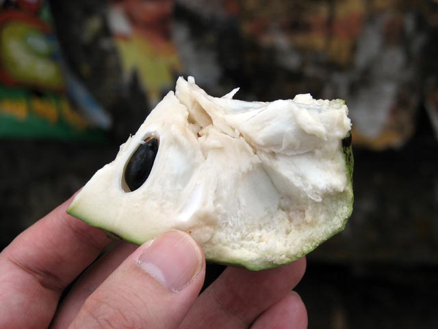 �T���T�D�Ƃ������g�������ʕ��̃A�b�v