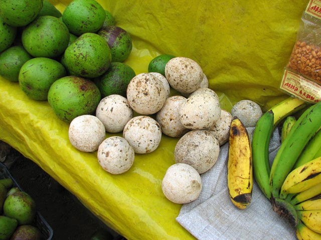 �E�b�h�A�b�v��